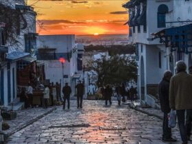 La Tunisie un pays dans la tourmente